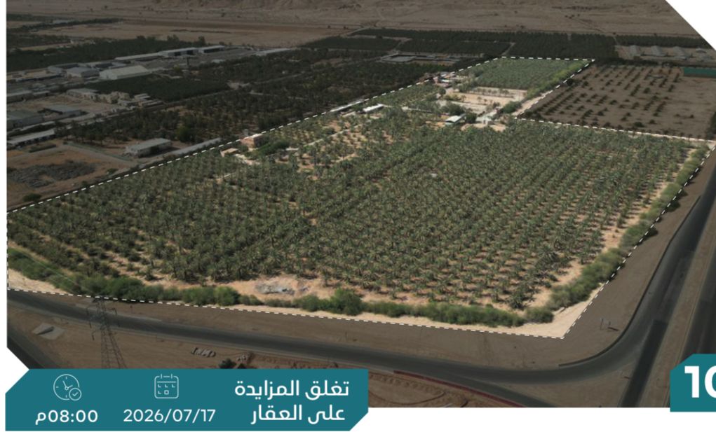Preview image for مزرعة